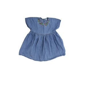 Next Girls Cotton Embroidered Floral Denim Dress Blue Size 2-3y